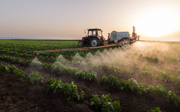 Best Pest Control Near Me  in Shafter, CA